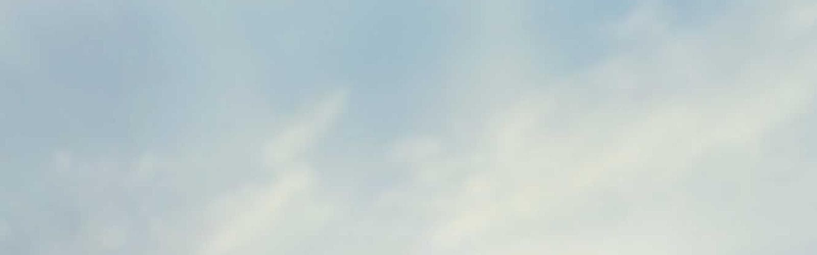 Canadian flag and cityscape