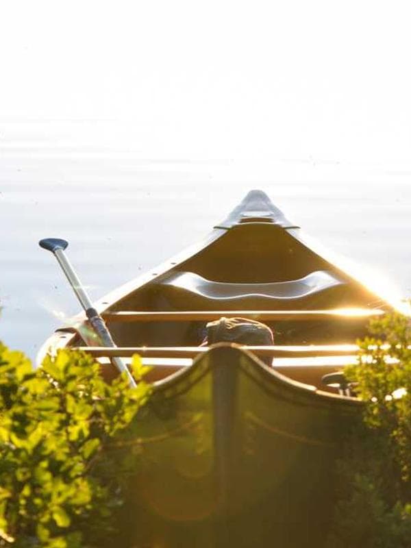 Mobile App Screenshot